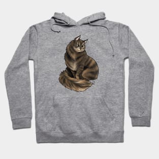 Cat - Siberian - Brown Tabby Hoodie